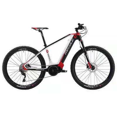 Elektrisches Stadtfahrrad mit Bürstenlosem Motor Popular Style Vollkohlenstofffaser Road Bike