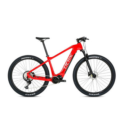 Fernbedienung Elektrofahrrad M510 Mittenantrieb und 48V 13Ah Lithiumbatterie