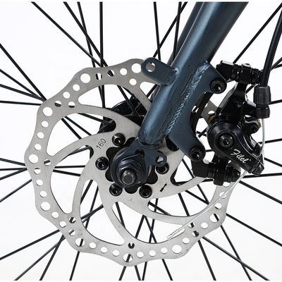 20 Zoll klappbares Elektrofahrrad 36v 6 SPEED abnehmbare Lithiumbatterie für das Radfahren im Freien