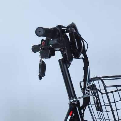 Leichtgewicht 36V 250w Central Motor Elektrofahrrad Fahrrad mit Motor Position in Central