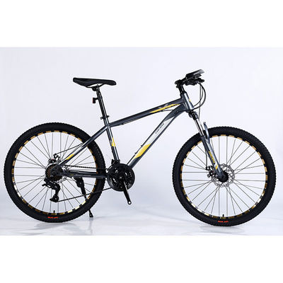 Erleben Sie das Spannende 24-Geschwindigkeits-Fett Mountainbike mit Doppelwand und großen Reifen