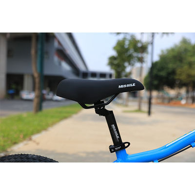 Aluminium-Legierungsrahmen Bicicleta KIDS BIKE Blau für Kinder SUPER-20 Zoll 10kg Bruttogewicht