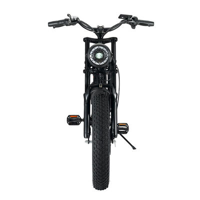 Leistungsstarker 750W V8 Motor 20 Zoll Fettreifen Elektro Mountainbike mit 48V 15ah Batterie