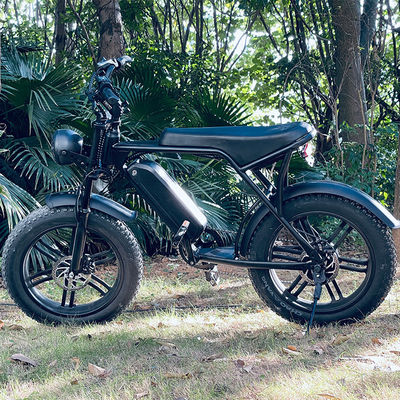 Leistungsstarker 750W V8 Motor 20 Zoll Fettreifen Elektro Mountainbike mit 48V 15ah Batterie