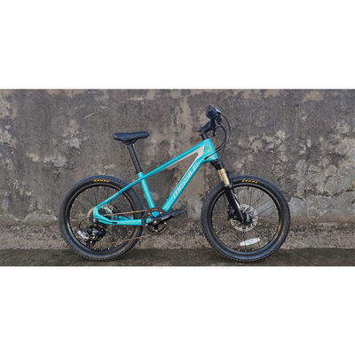 20 Zentimeter Kinder Fahrrad mit Aufhängung Gabel und Kohlenstofffaser Rahmen wiegt nur 11 kg