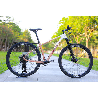 Aluminiumlegierung Felge 24 Geschwindigkeit 29 Zoll Carbon Mountain Bike für Bergabenteuer
