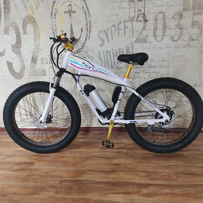48V 500W Power Elektrofahrrad zum Ausüben von Balance und Retro Vintage Ebike Abenteuer