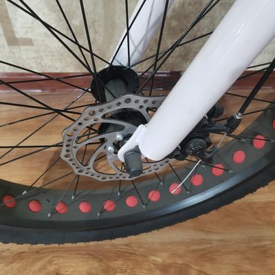 48V 500W Power Elektrofahrrad zum Ausüben von Balance und Retro Vintage Ebike Abenteuer