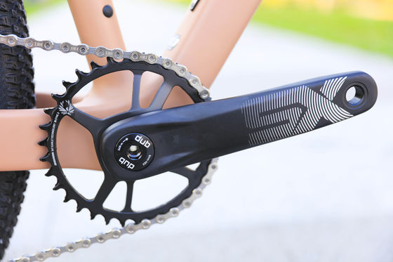 Aluminiumlegierung Felge 24 Geschwindigkeit 29 Zoll Carbon Mountain Bike für Bergabenteuer