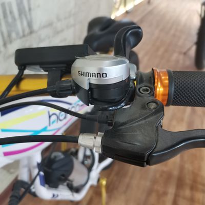 48V 500W Power Elektrofahrrad zum Ausüben von Balance und Retro Vintage Ebike Abenteuer