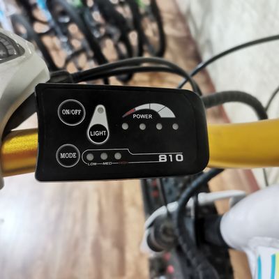 48V 500W Power Elektrofahrrad zum Ausüben von Balance und Retro Vintage Ebike Abenteuer