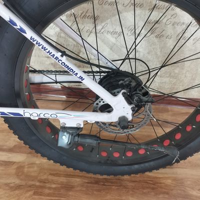 48V 500W Power Elektrofahrrad zum Ausüben von Balance und Retro Vintage Ebike Abenteuer