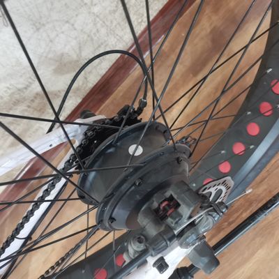 48V 500W Power Elektrofahrrad zum Ausüben von Balance und Retro Vintage Ebike Abenteuer