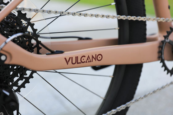 Aluminiumlegierung Felge 24 Geschwindigkeit 29 Zoll Carbon Mountain Bike für Bergabenteuer