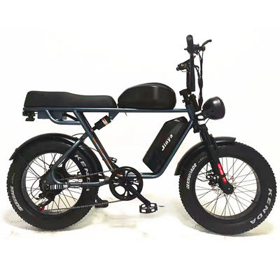 Outdoor Adventure 20*4.0 Kenda Fettreifen Doppelscheibenbremse Mountainbike für Jugendliche