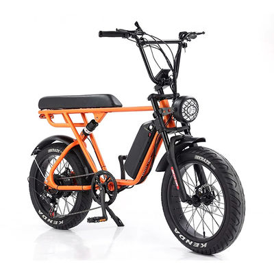 Outdoor Adventure 20*4.0 Kenda Fettreifen Doppelscheibenbremse Mountainbike für Jugendliche