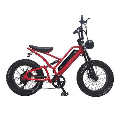 E-Bike Fettreifen 48V10Ah Lithiumbatterie Geschwindigkeit 500W Bürstenloser Spoke Motor für Schneemotoren