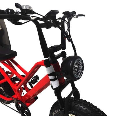 E-Bike Fettreifen 48V10Ah Lithiumbatterie Geschwindigkeit 500W Bürstenloser Spoke Motor für Schneemotoren