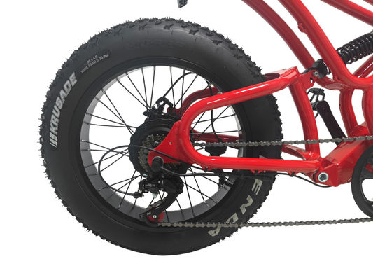 E-Bike Fettreifen 48V10Ah Lithiumbatterie Geschwindigkeit 500W Bürstenloser Spoke Motor für Schneemotoren