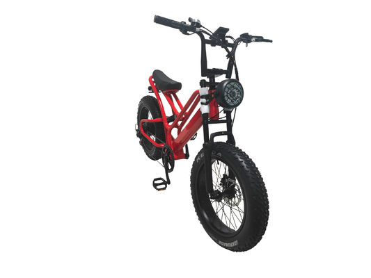 E-Bike Fettreifen 48V10Ah Lithiumbatterie Geschwindigkeit 500W Bürstenloser Spoke Motor für Schneemotoren
