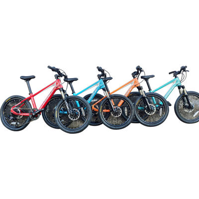 20 Zoll Mountainbike für Kinder 7-10 Jahre mit Gabel-Aufhängung und Gewicht 11 kg