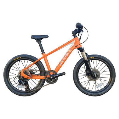 20 Zoll Mountainbike für Kinder 7-10 Jahre mit Gabel-Aufhängung und Gewicht 11 kg