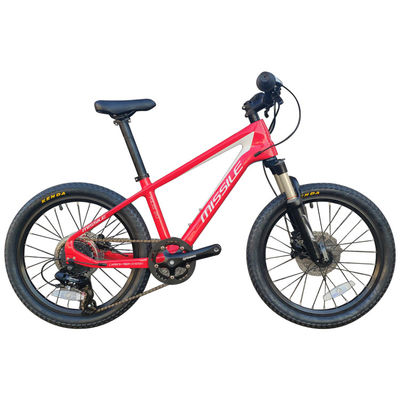 20 Zoll Mountainbike für Kinder 7-10 Jahre mit Gabel-Aufhängung und Gewicht 11 kg