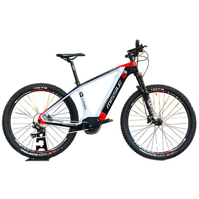 Elektrisches Stadtfahrrad mit Bürstenlosem Motor Popular Style Vollkohlenstofffaser Road Bike