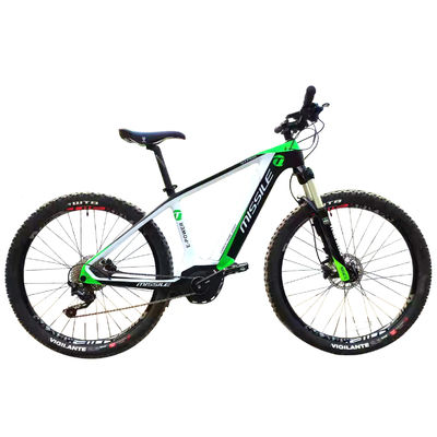 Elektrisches Stadtfahrrad mit Bürstenlosem Motor Popular Style Vollkohlenstofffaser Road Bike