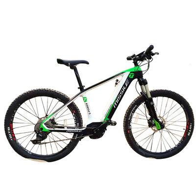Elektrisches Stadtfahrrad mit Bürstenlosem Motor Popular Style Vollkohlenstofffaser Road Bike