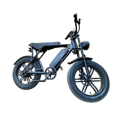 Elektro-Fettreifen Schneebad-E-Bike mit Doppelscheibenbremse und Lithium-Batterie