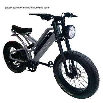 Mechanische Scheibenbremse Elektrofahrrad 48v 500w Motor E-Bike 2 Rad 20 Zoll Fettreifen