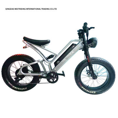 Mechanische Scheibenbremse Elektrofahrrad 48v 500w Motor E-Bike 2 Rad 20 Zoll Fettreifen