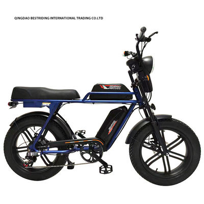 Doppelscheibenbremse 48V 1000W Motor E-Bike 20 Zoll elektrisches Fettreifen Fahrrad mit Kenda-Reifen