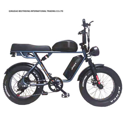 Custom 48V 1000W Elektrofahrrad 20 Zoll Fettreifen Ebike mit und 52V Lithiumbatterie-Ladegerät