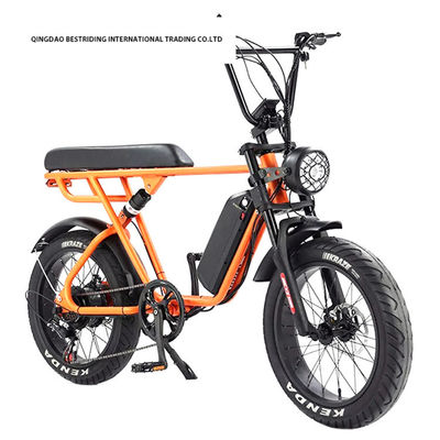 Custom 48V 1000W Elektrofahrrad 20 Zoll Fettreifen Ebike mit und 52V Lithiumbatterie-Ladegerät