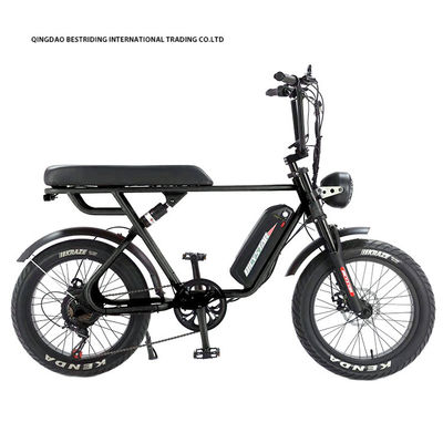 Custom 48V 1000W Elektrofahrrad 20 Zoll Fettreifen Ebike mit und 52V Lithiumbatterie-Ladegerät