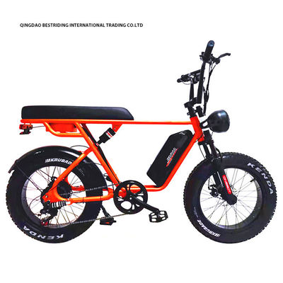 Custom 48V 1000W Elektrofahrrad 20 Zoll Fettreifen Ebike mit und 52V Lithiumbatterie-Ladegerät