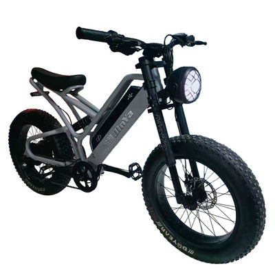 Elektronisches Fettreifen Elektrofahrrad 20 Zoll Fettreifen 500w E-Bike 48v mit Smart Type
