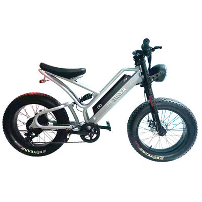 Elektronisches Fettreifen Elektrofahrrad 20 Zoll Fettreifen 500w E-Bike 48v mit Smart Type