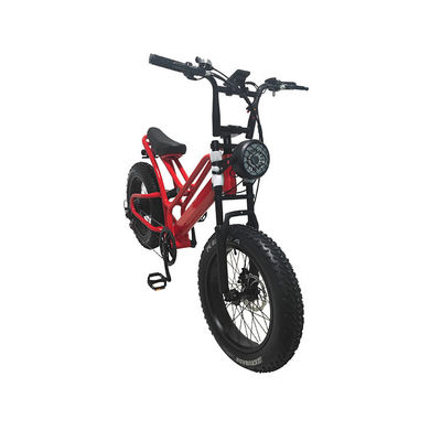 Elektronisches Fettreifen Elektrofahrrad 20 Zoll Fettreifen 500w E-Bike 48v mit Smart Type