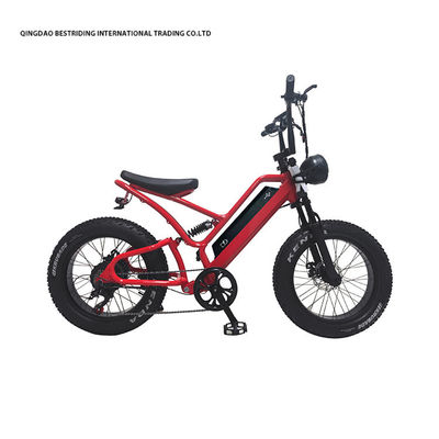 48V10Ah Lithiumbatterie 5000w Elektrofahrrad für Erwachsene 20 Zoll Fettreifen Ebike