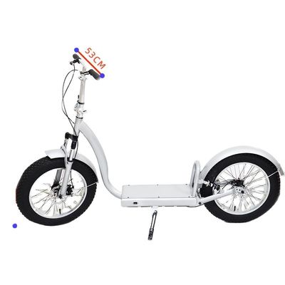 Erleben Sie die ultimative Fahrt mit unserem Front-Hinter-Sunspension-Scooter mit voller Aufhängung.