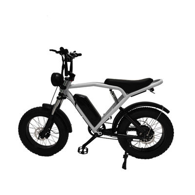 Hinterradmotor 20*4,0' Fettreifen Elektrofahrrad E-Bike für den Markt