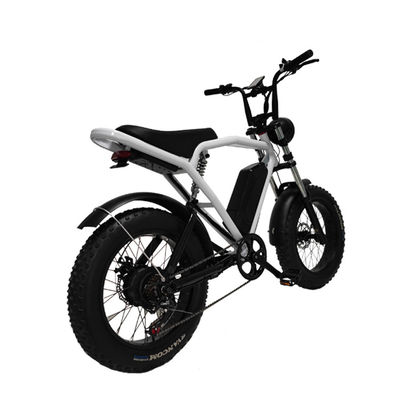 Hinterradmotor 20*4,0' Fettreifen Elektrofahrrad E-Bike für den Markt