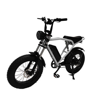 Hinterradmotor 20*4,0' Fettreifen Elektrofahrrad E-Bike für den Markt