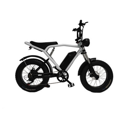 Fast Electric Dirt Bike Mountain City Road EBike mit mechanischer Scheibenbremse in Schwarz