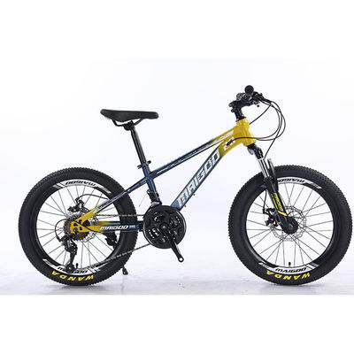 20 "21s Kids Bike Kinderrad mit individuellem Logo und Aluminiumfolie Felgenmaterial