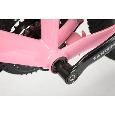 Stahlrahmen 20 Zoll WANDA 20 * 2.125 Reifen Kinder Fahrrad für langlebige 21 Geschwindigkeiten MTB