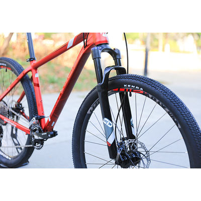 Benutzerdefiniertes Trainingsrad Größen 29 Zoll Mountainbike mit 22 Geschwindigkeitsgetrieben und glatten Schweißungen